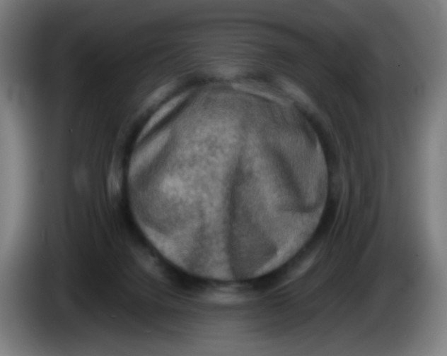 X0000085250072200703301819