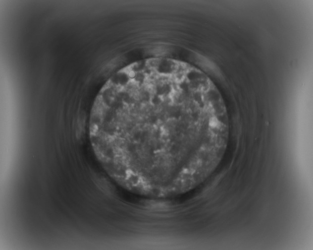 X0000085250073200703301819