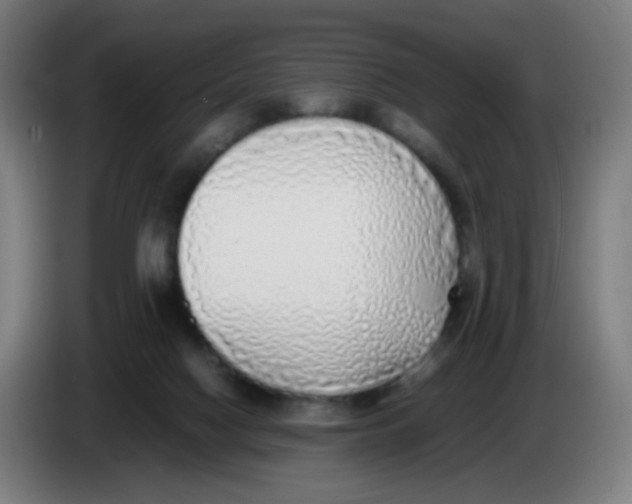 X0000085250074200703301819