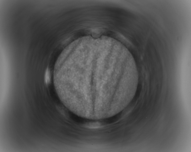 X0000085250075200703301819