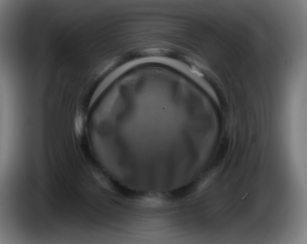 X0000085250076200703301819