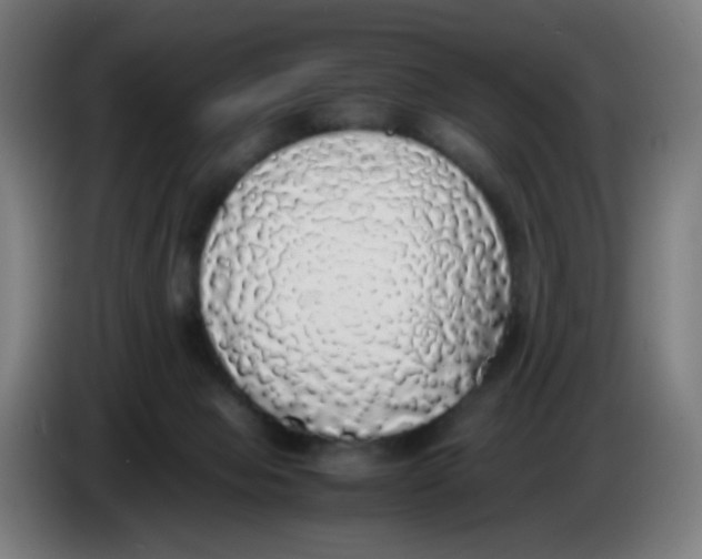 X0000085250077200703301819