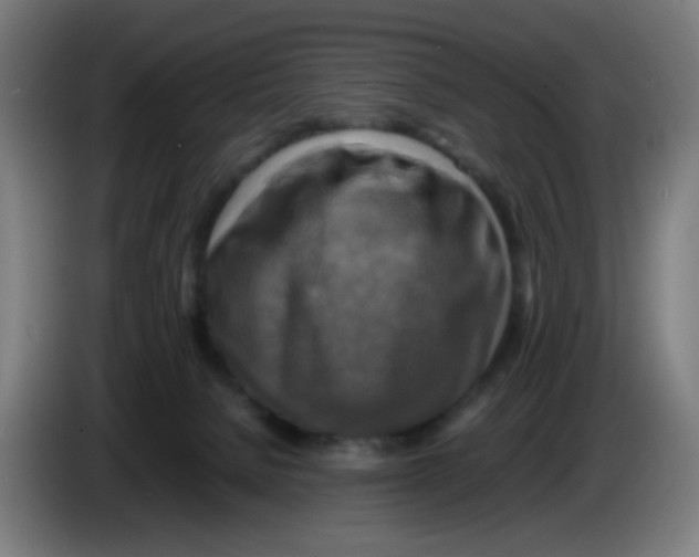 X0000085250080200703301819