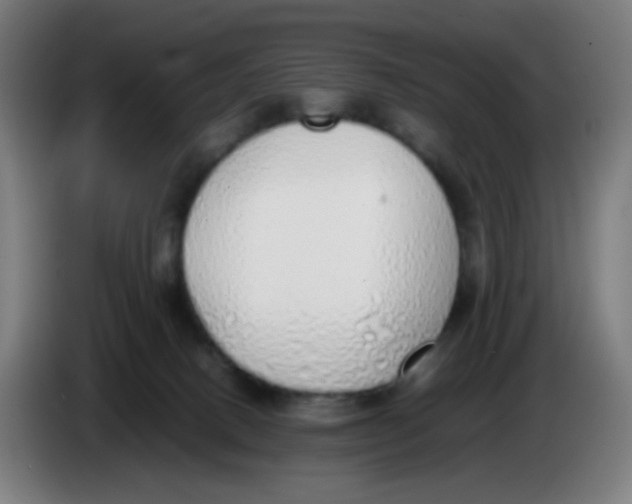 X0000085250082200703301819