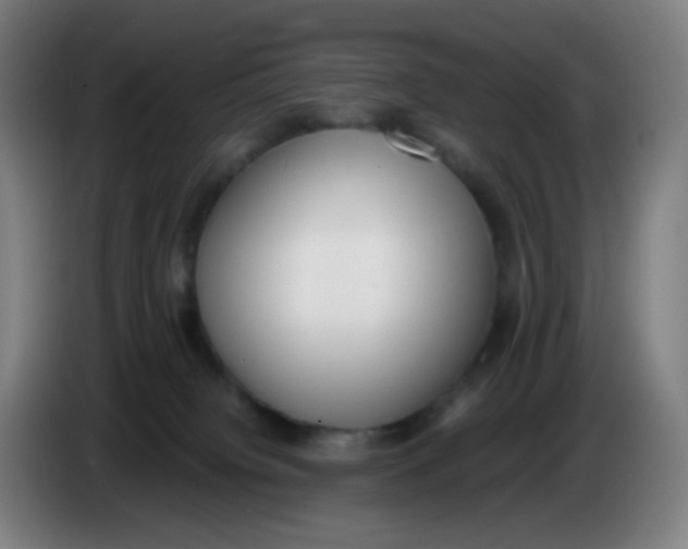 X0000085250084200703301819