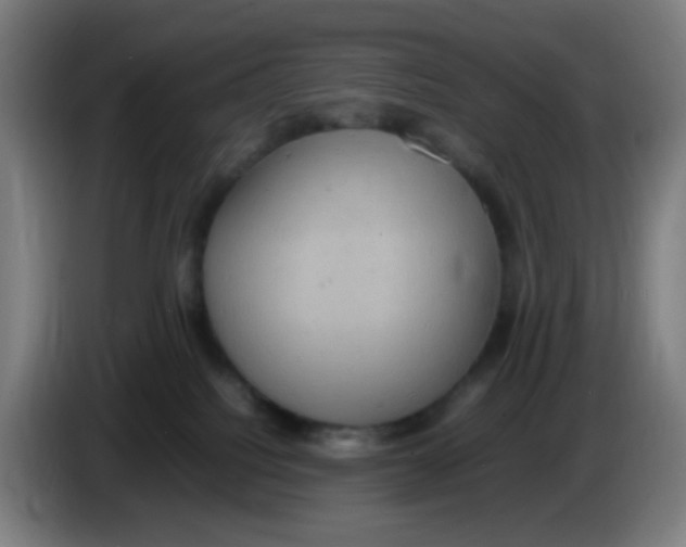 X0000085250088200703301819