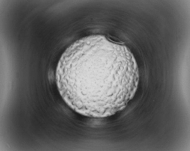 X0000085250089200703301819