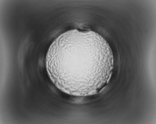 X0000085250090200703301819