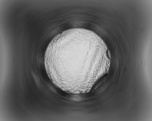 X0000085250091200703301819