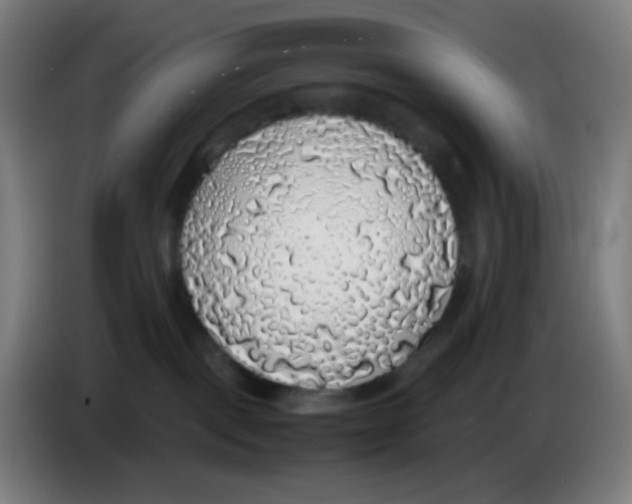 X0000085250093200703301819