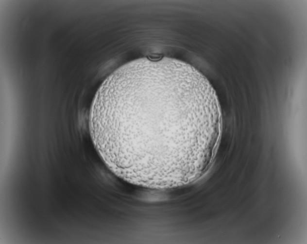 X0000085250094200703301820