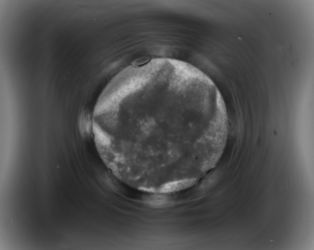 X0000085250095200703301820