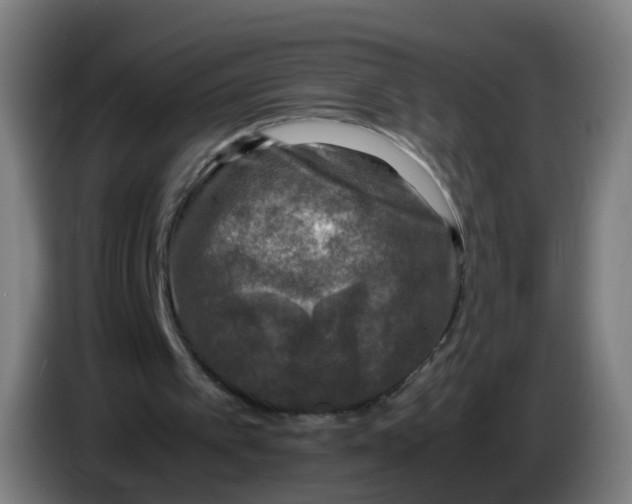 X0000085250097200703301819