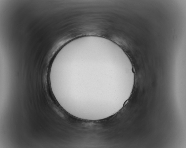 X0000085250098200703301819