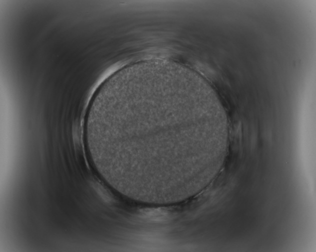 X0000085250100200703301819