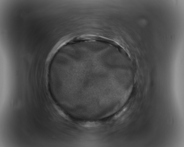 X0000085250101200703301819