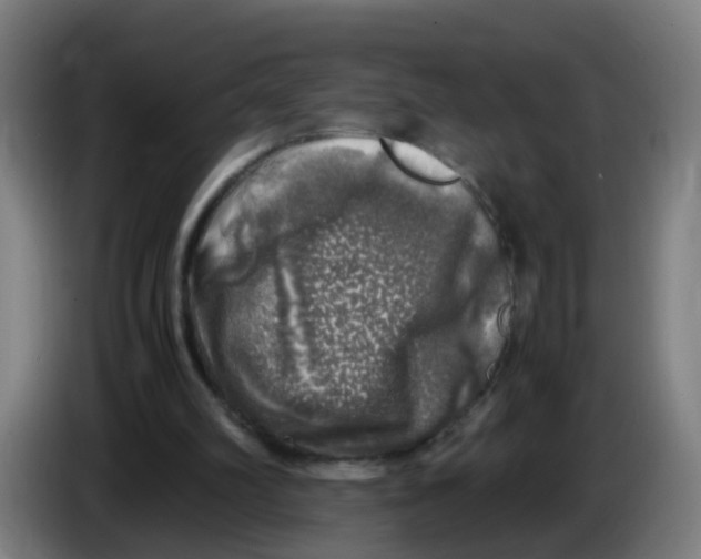 X0000085250102200703301819