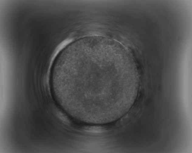 X0000085250104200703301819