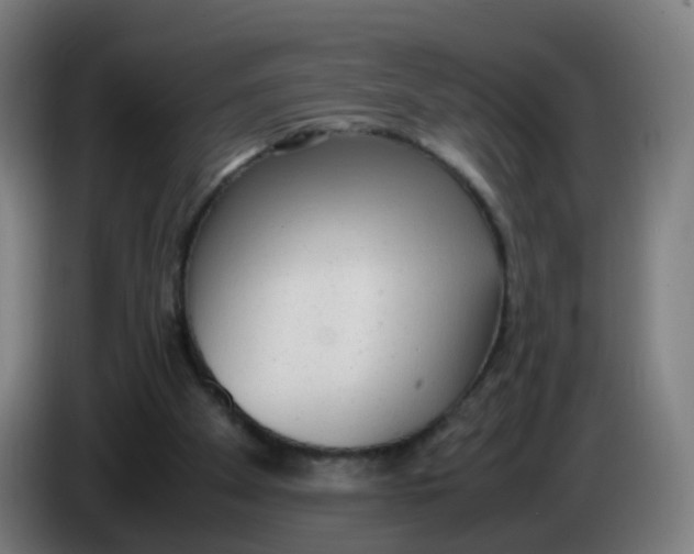 X0000085250105200703301819