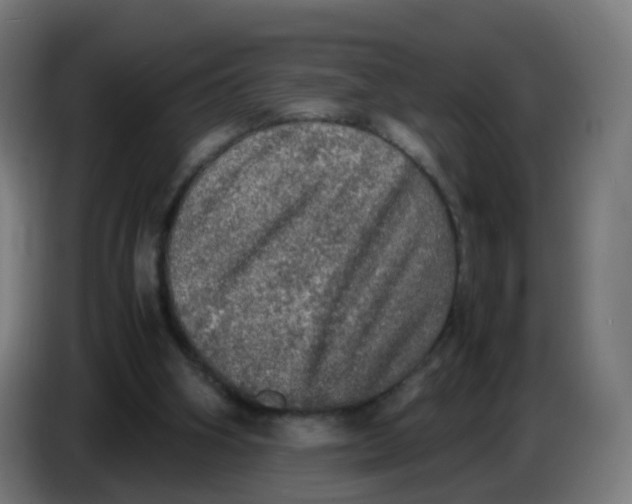 X0000085250106200703301819