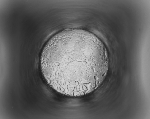 X0000085250107200703301819