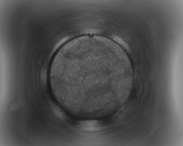 X0000085250108200703301819