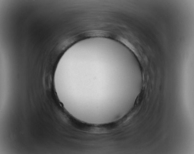 X0000085250109200703301819