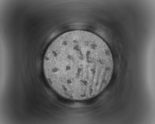 X0000085250111200703301819