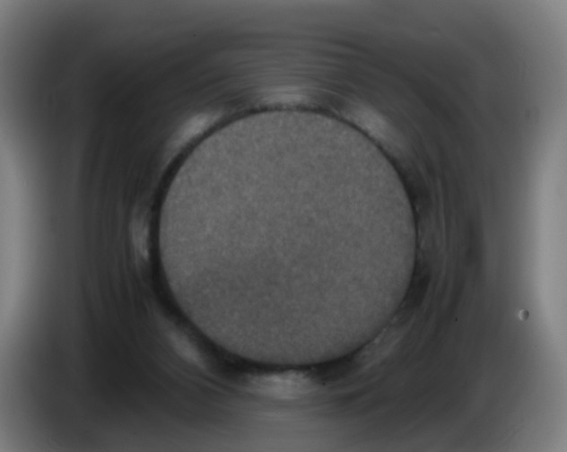 X0000085250112200703301819