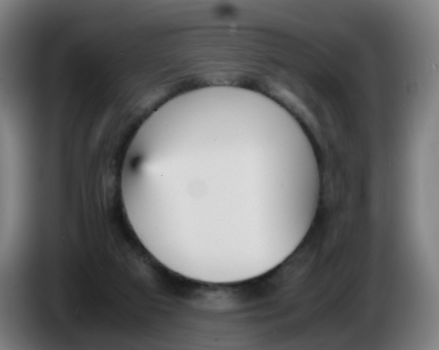 X0000085250113200703301819