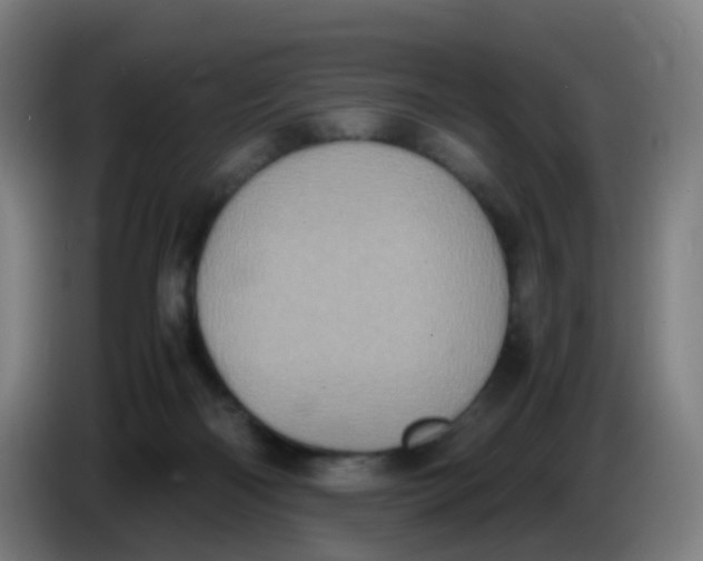 X0000085250122200703301819