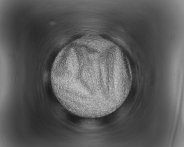 X0000085250123200703301819