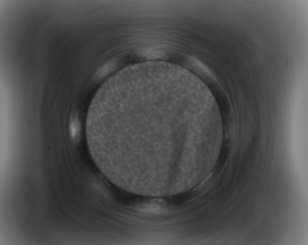 X0000085250124200703301818