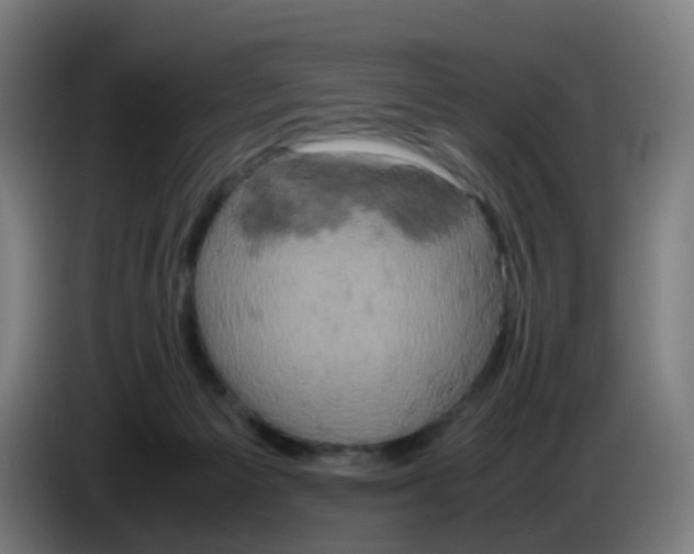 X0000085250125200703301818