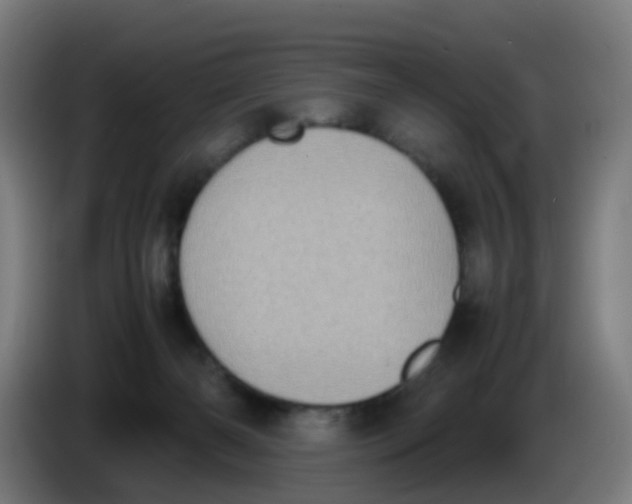 X0000085250126200703301818