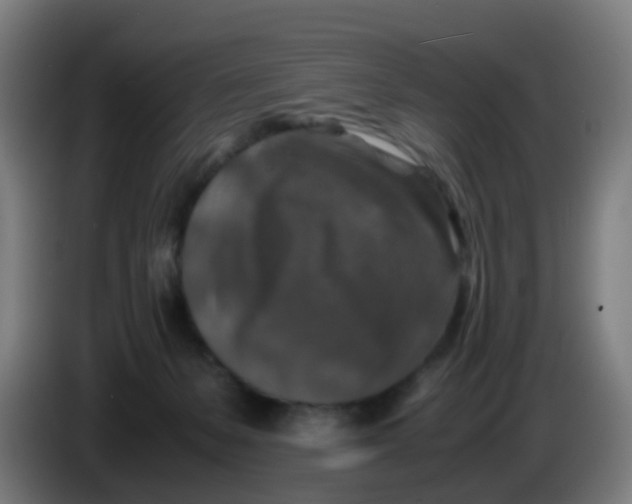 X0000085250127200703301818