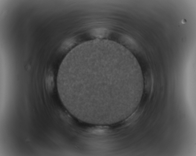 X0000085250128200703301818