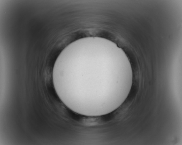 X0000085250129200703301818