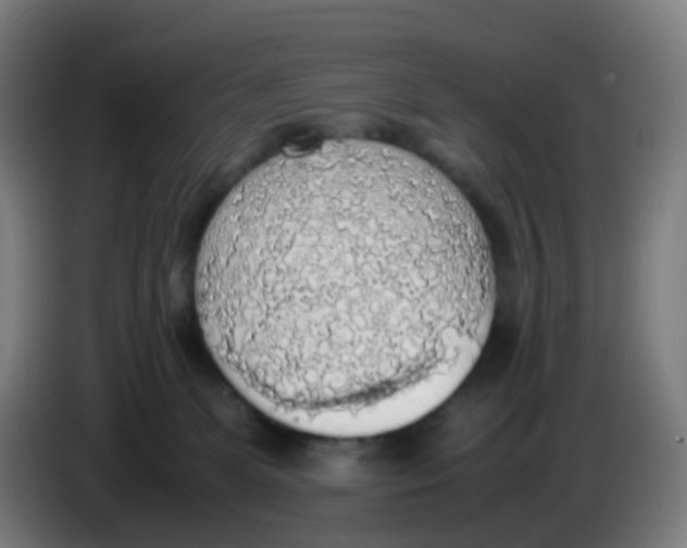 X0000085250131200703301818