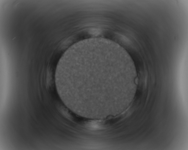 X0000085250136200703301818