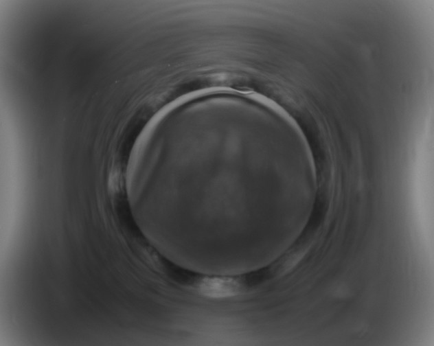 X0000085250137200703301818