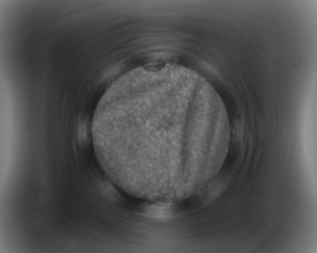 X0000085250138200703301818