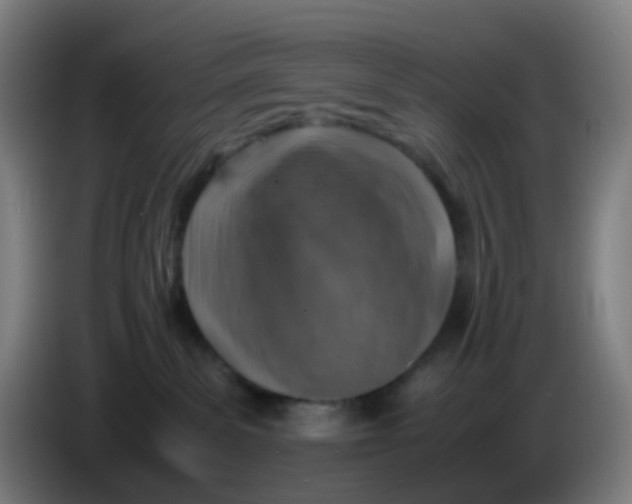 X0000085250139200703301818