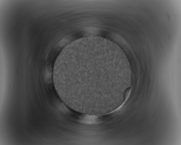 X0000085250144200703301818