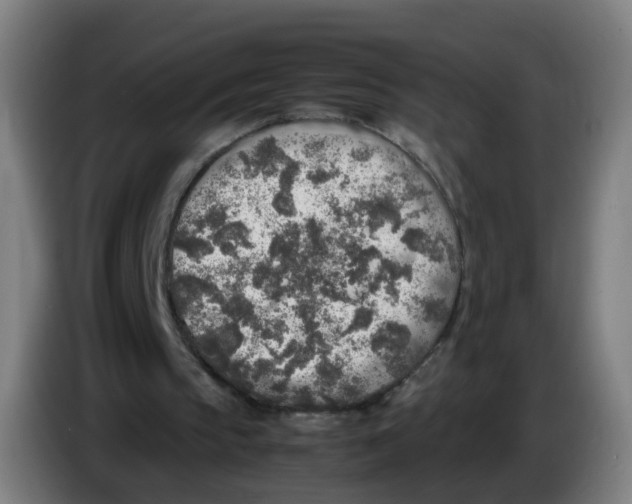 X0000085250145200703301818