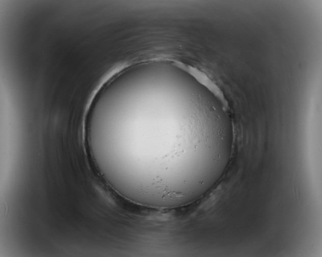 X0000085250148200703301818