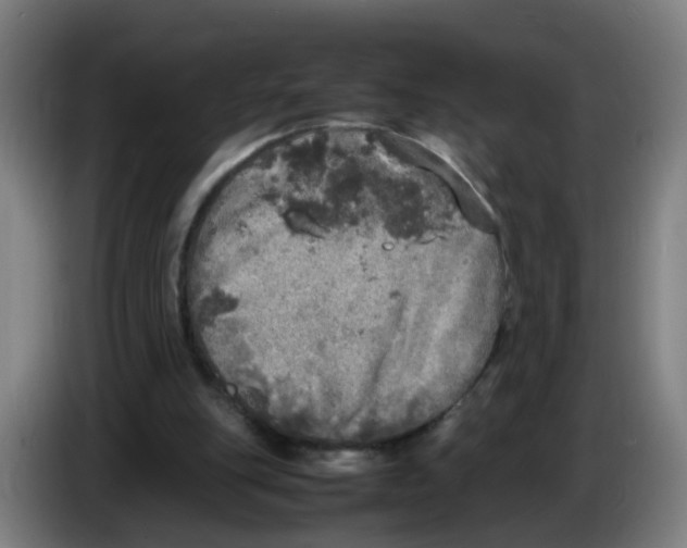 X0000085250151200703301818