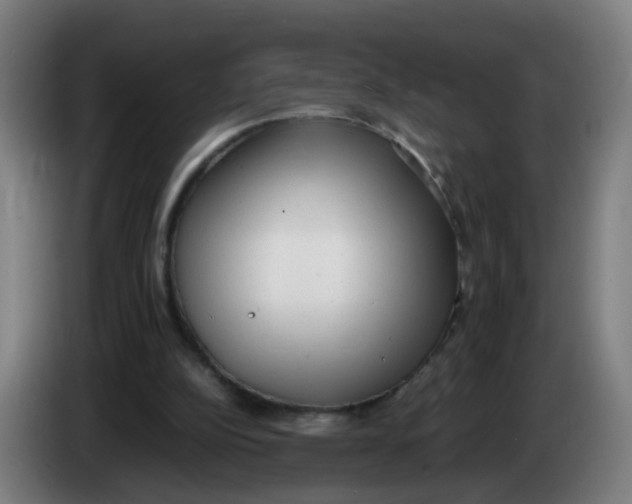 X0000085250152200703301818