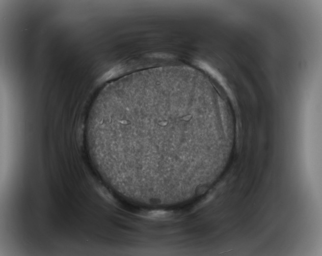 X0000085250153200703301818