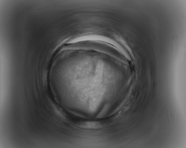 X0000085250154200703301818